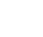  Governmental